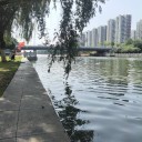 小白