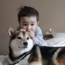问答小白